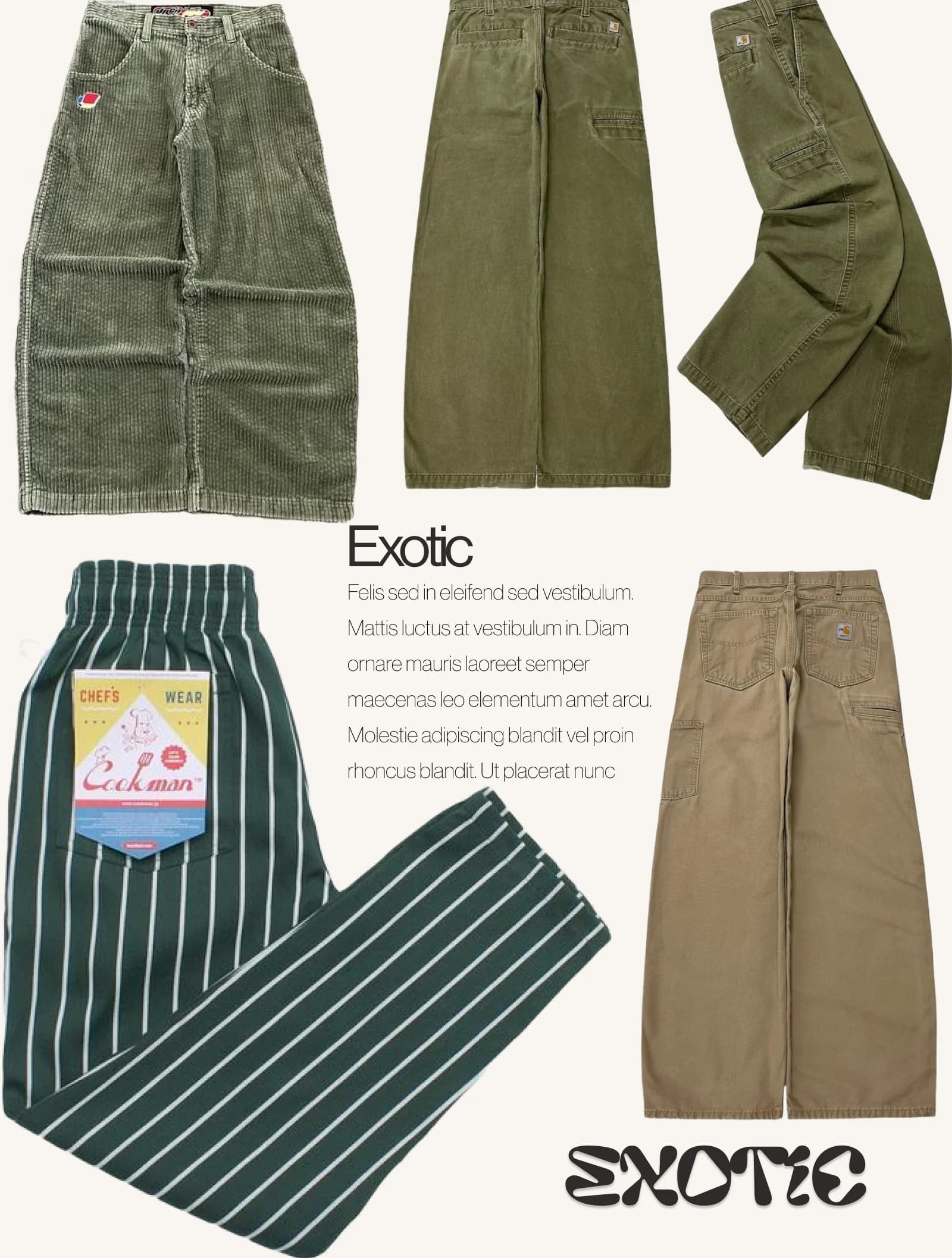 Want Magazine — Exotic